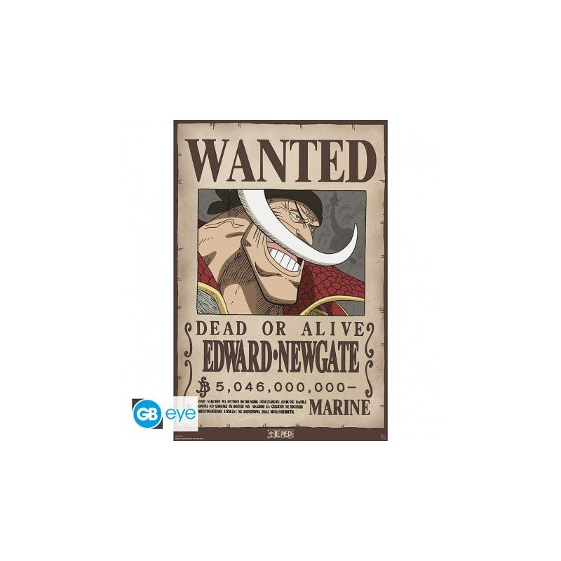 one-piece-maxi-poster-wanted-whitebeard-edward-newgate