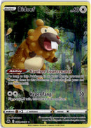 pokemon_karten_bidoof_galarian_gallery_crz_gg29_englisch