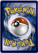 pokemon_karten_net_ball_gold_rare_lot_234_englisch_back