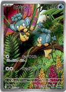 Panpour sv11B 105 JP