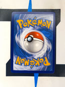 Axantor V SWSH248 DE NM